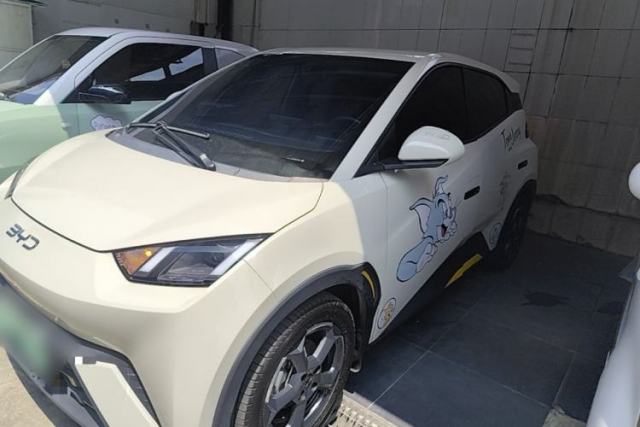 Used BYD Seagull 2024 Honor Edition 305km Freedom Version