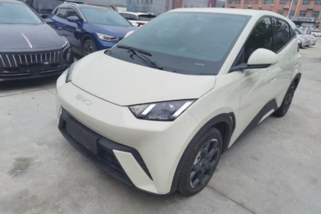 Used BYD Seagull 2024 Honor Edition 305km Freedom Version