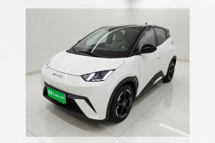 BYD Seagull 2024 Honor Edition 305km Freedom Version