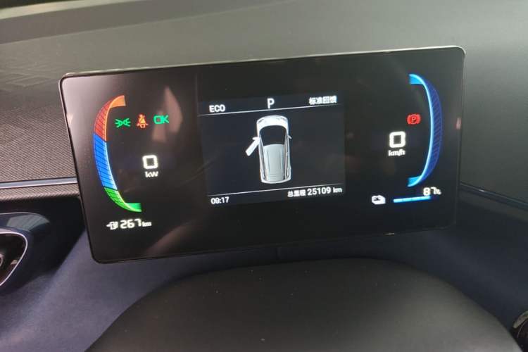 Used BYD Seagull 2024 Honor Edition 305km Freedom Version Instrument Cluster