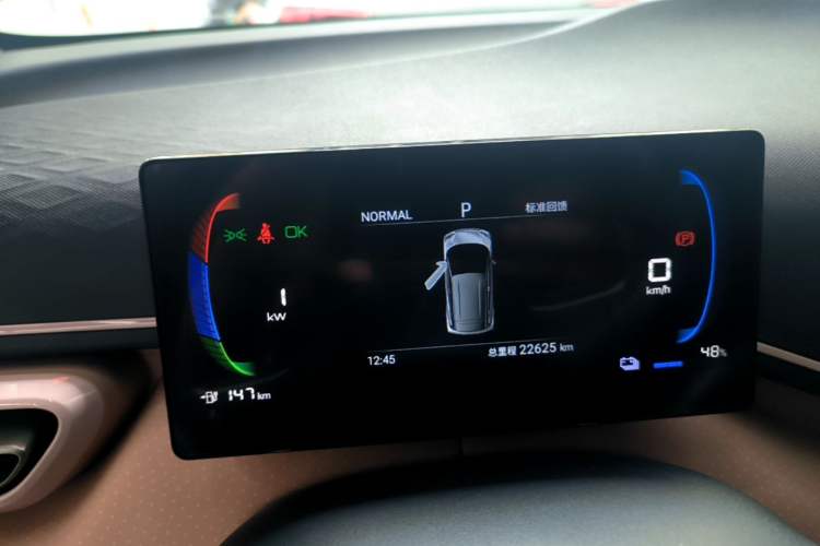 Used BYD Seagull 2024 Honor Edition 305km Freedom Version Instrument Cluster