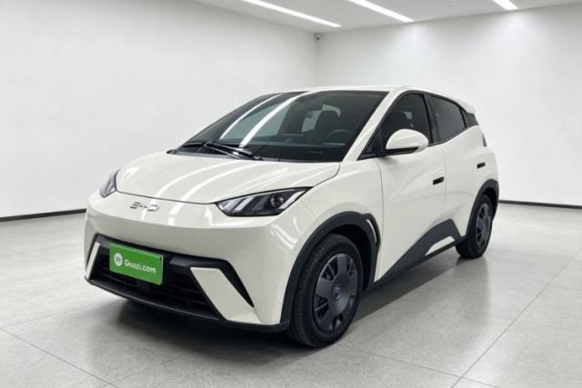 BYD Seagull 2024 Honor Edition 305km Dynamic Version usado