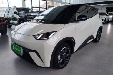 Used BYD Seagull 2024 Honor Edition 305km Freedom Version