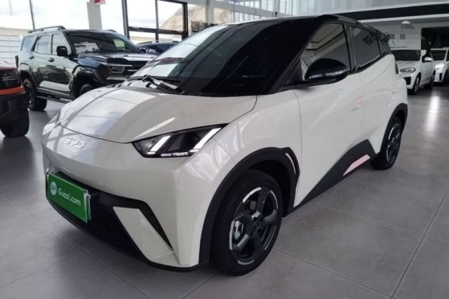 Used BYD Seagull 2024 Honor Edition 305km Freedom Version