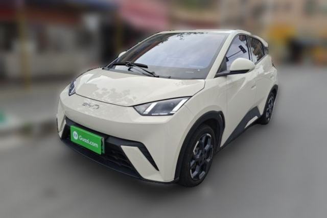 Used BYD Seagull 2024 Honor Edition 305km Freedom Version