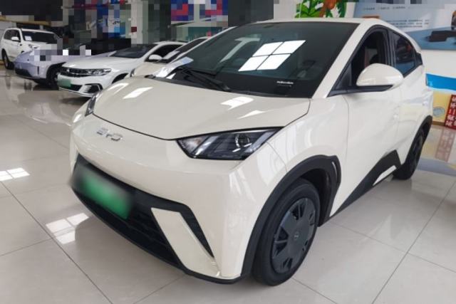 Used BYD Seagull 2024 Honor Edition 305km Dynamic Version