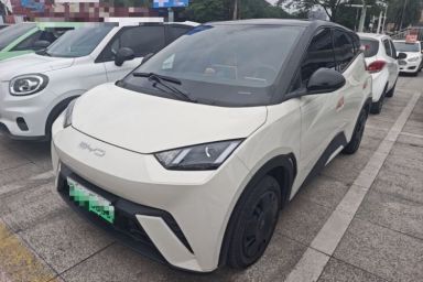Used BYD Seagull 2024 Honor Edition 305km Dynamic Version
