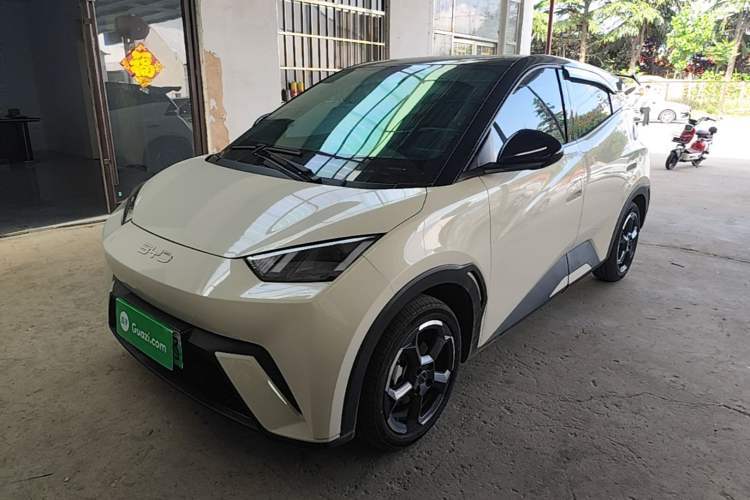 Used BYD Seagull 2024 Honor Edition 305km Freedom Version Guazi used car, China used car export, Used car for sale, Used cars, Cheapest cars for sale