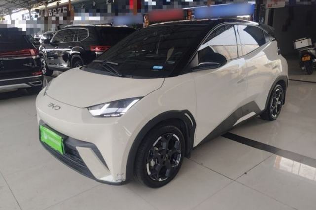 Used BYD Seagull 2024 Honor Edition 305km Freedom Version
