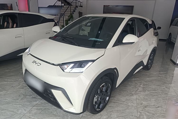 BYD Seagull 2024 Honor Edition 305km Freedom Version