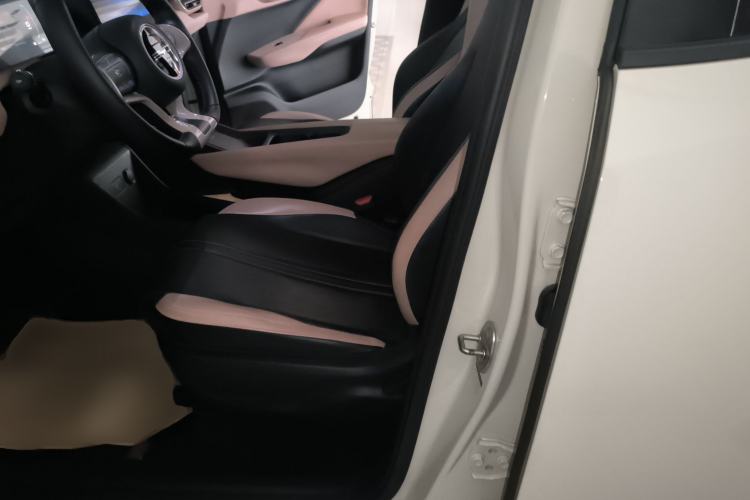 Used BYD Seagull 2024 Honor Edition 305km Freedom Version Left Front Seat