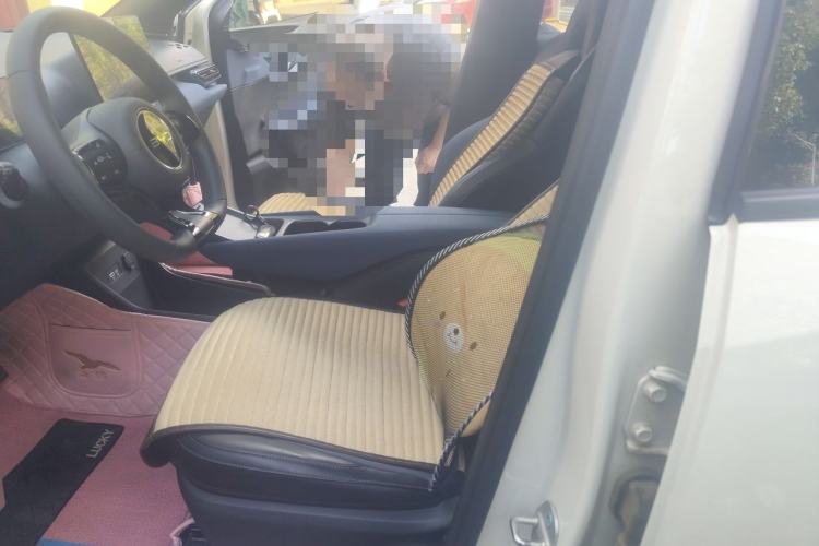Used BYD Seagull 2024 Honor Edition 305km Dynamic Version Left Front Seat