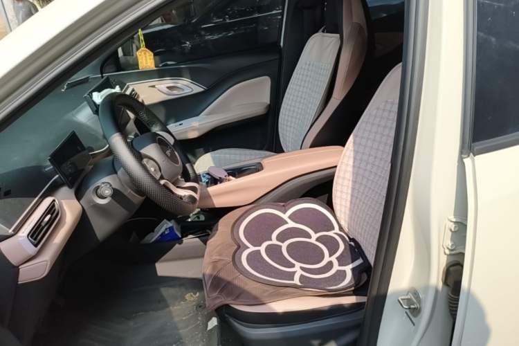 Used BYD Seagull 2024 Honor Edition 305km Dynamic Version Left Front Seat
