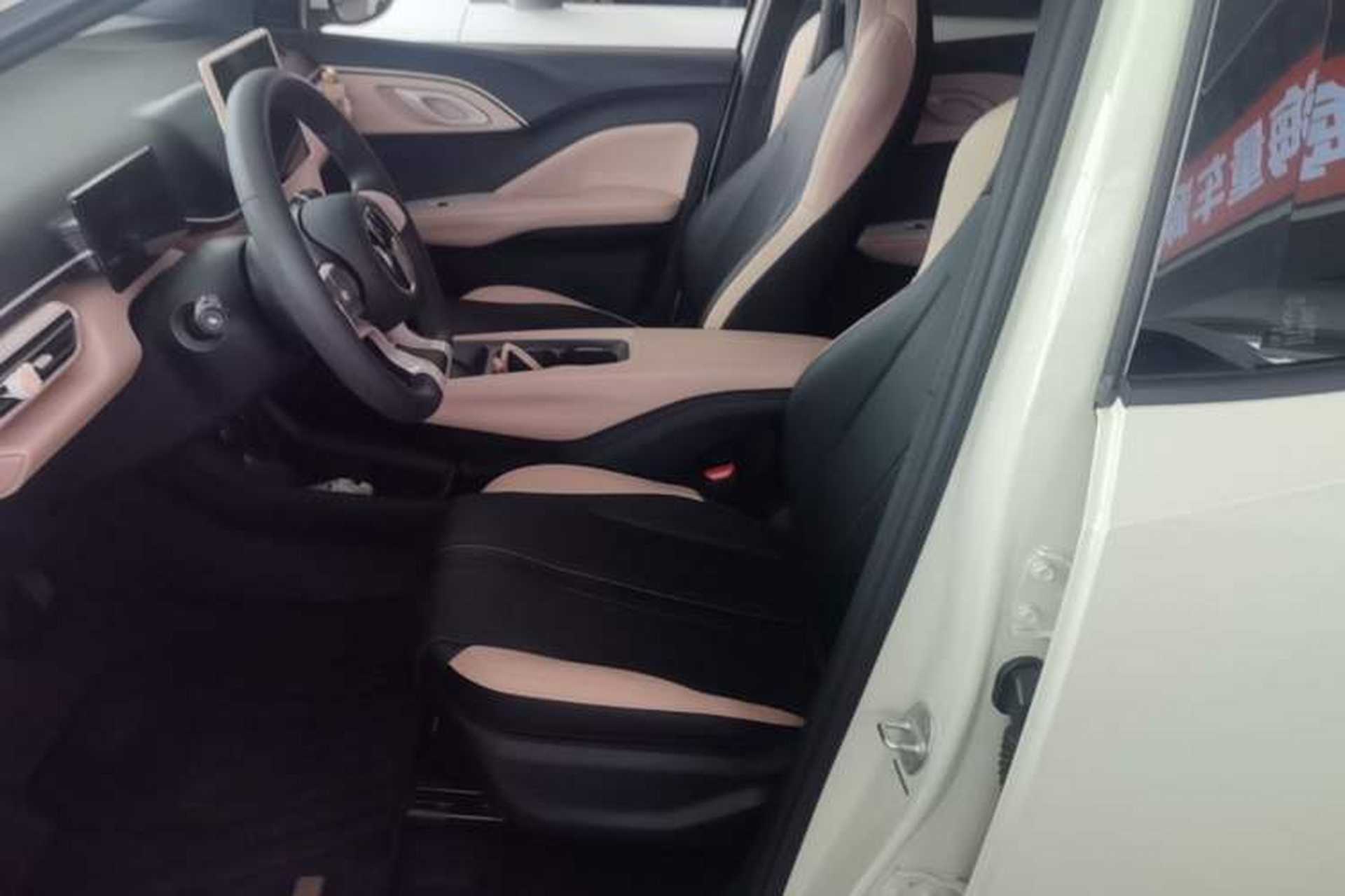 Used BYD Seagull 2024 Honor Edition 305km Dynamic Version Left Front Seat