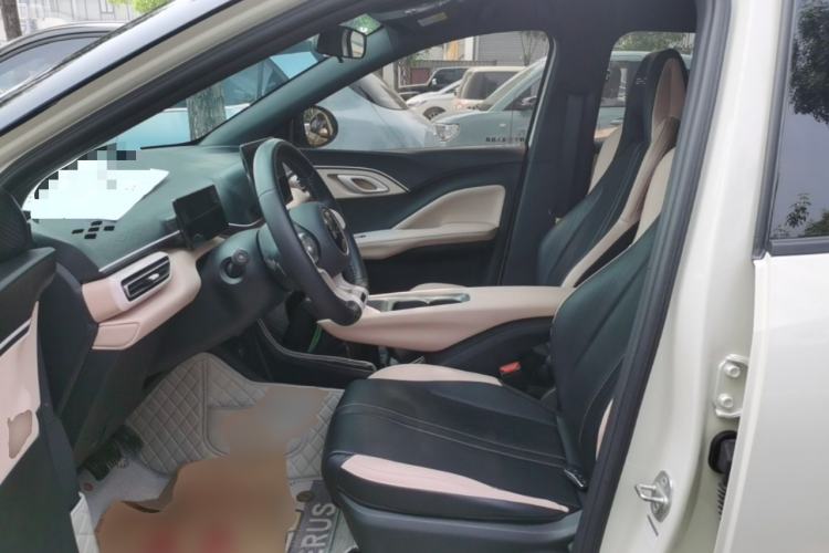 Used BYD Seagull 2024 Honor Edition 305km Freedom Version Left Front Seat