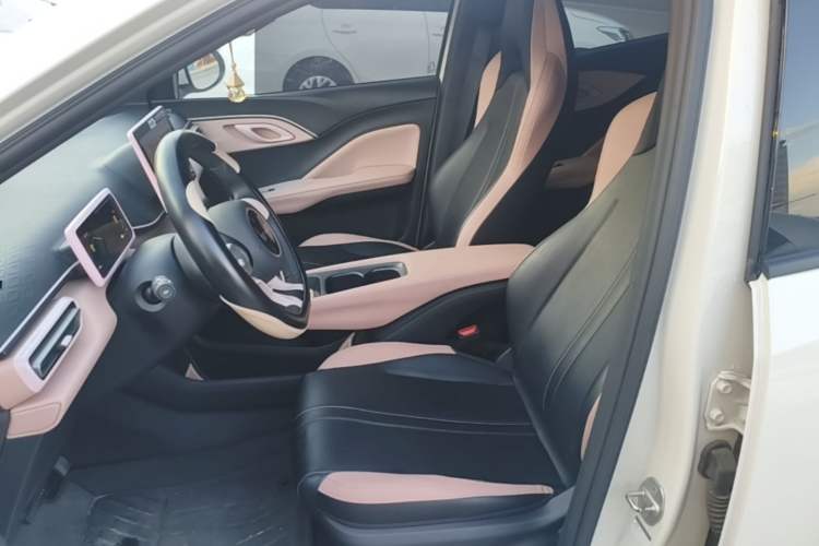 Used BYD Seagull 2024 Honor Edition 305km Dynamic Version Left Front Seat