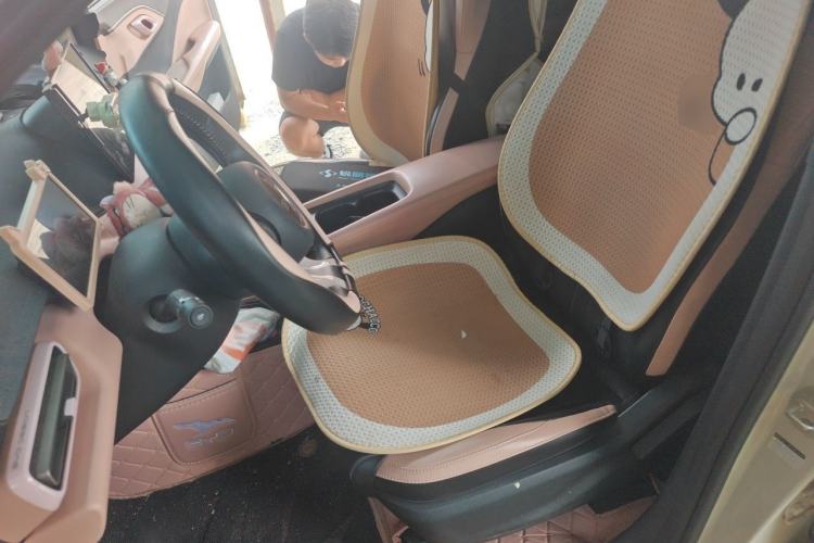 Used BYD Seagull 2024 Honor Edition 305km Freedom Version Left Front Seat