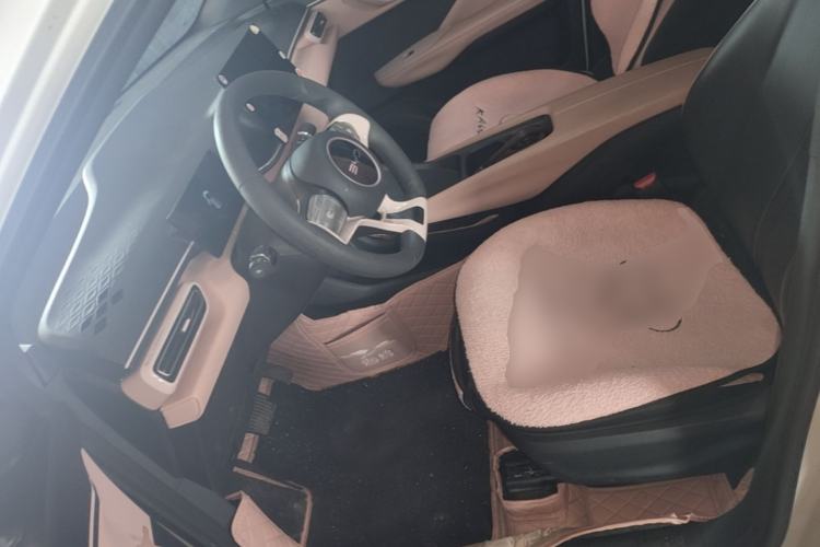 Used BYD Seagull 2024 Honor Edition 305km Dynamic Version Left Front Seat
