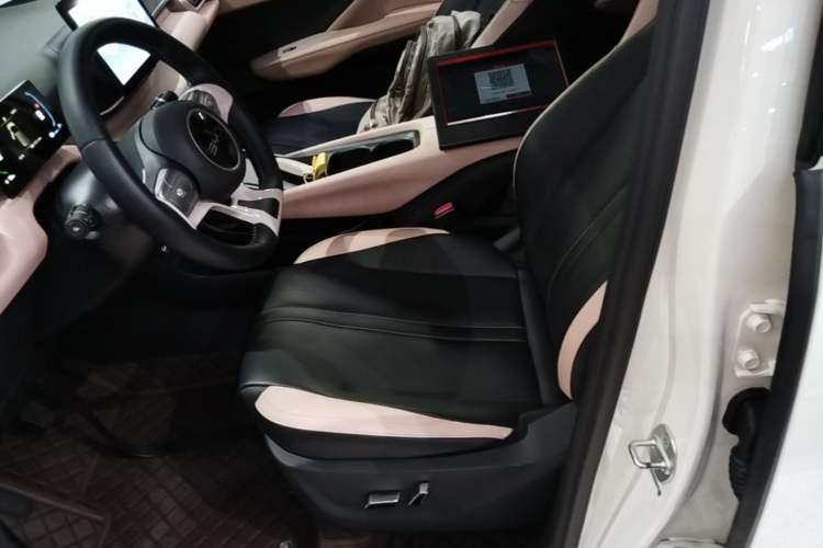 Used BYD Seagull 2024 Honor Edition 305km Freedom Version Left Front Seat