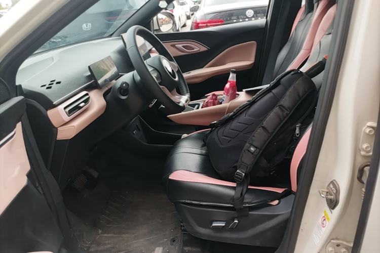 Used BYD Seagull 2024 Honor Edition 405km Flying Version Left Front Seat