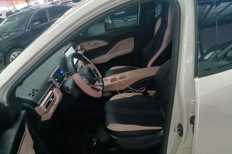 Used BYD Seagull 2024 Honor Edition 305km Dynamic Version Left Front Seat