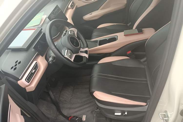 Used BYD Seagull 2024 Honor Edition 305km Freedom Version Left Front Seat