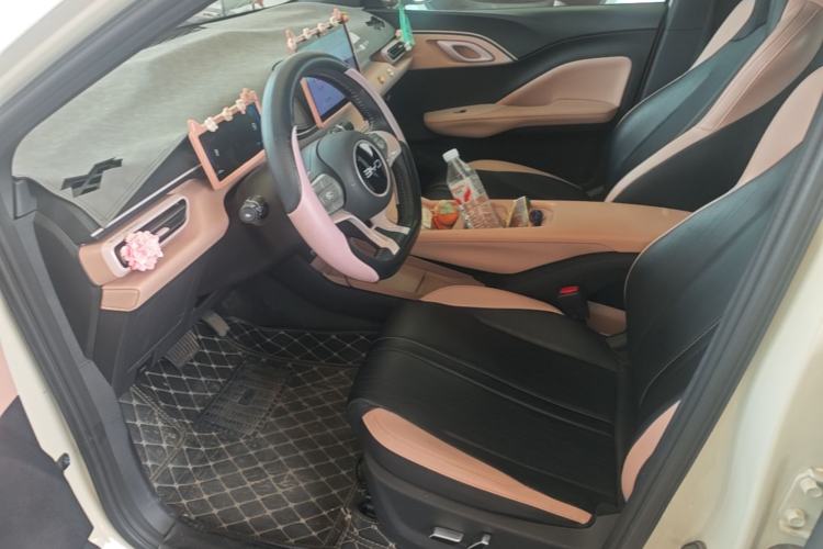 Used BYD Seagull 2024 Honor Edition 305km Freedom Version Left Front Seat