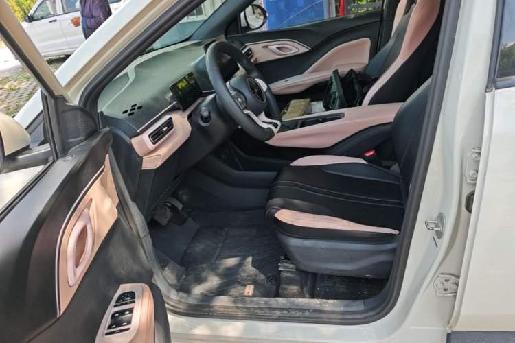 Used BYD Seagull 2024 Honor Edition 305km Dynamic Version Left Front Seat