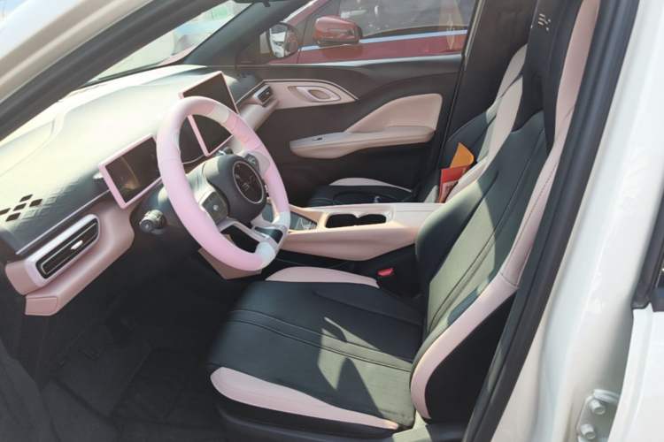 Used BYD Seagull 2024 Honor Edition 305km Dynamic Version Left Front Seat