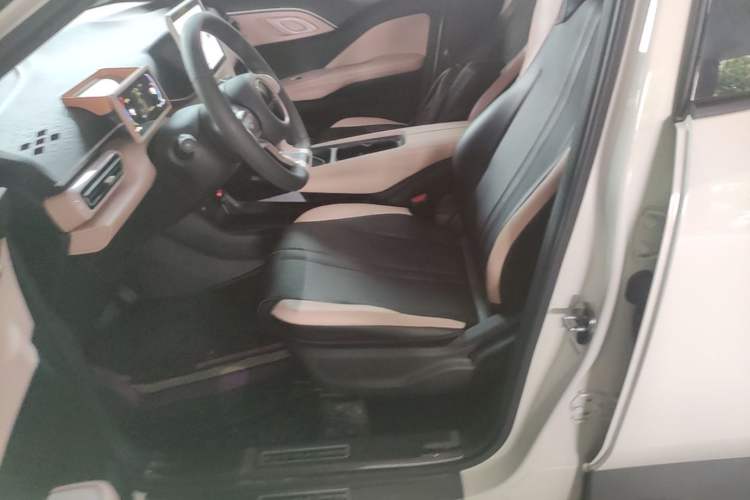Used BYD Seagull 2024 Honor Edition 305km Dynamic Version Left Front Seat