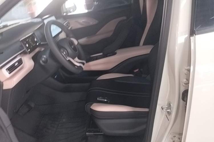 Used BYD Seagull 2024 Honor Edition 305km Dynamic Version Left Front Seat