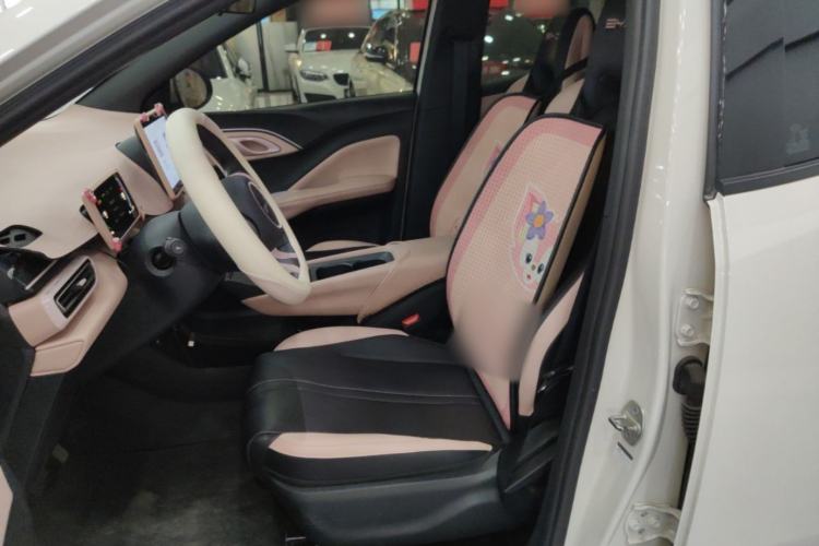 Used BYD Seagull 2024 Honor Edition 305km Dynamic Version Left Front Seat