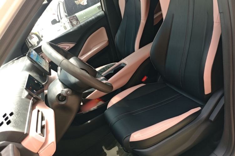 Used BYD Seagull 2024 Honor Edition 305km Dynamic Version Left Front Seat