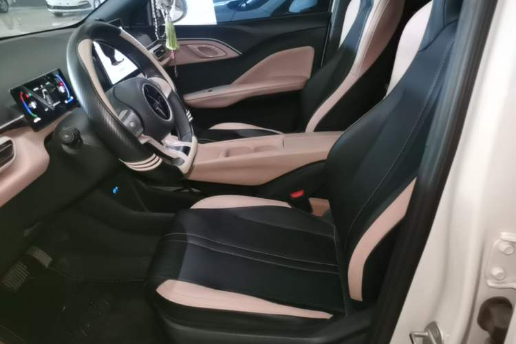 Used BYD Seagull 2024 Honor Edition 305km Dynamic Version Left Front Seat