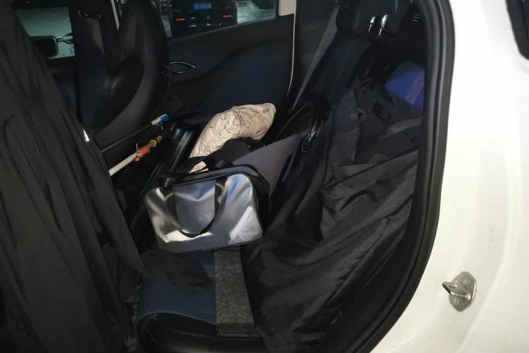 Used BYD Seagull 2024 Honor Edition 405km Flying Version Left Rear Seat