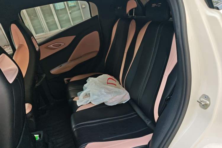 Used BYD Seagull 2024 Honor Edition 305km Freedom Version Left Rear Seat