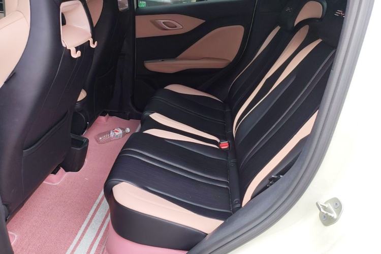 Used BYD Seagull 2024 Honor Edition 405km Flying Version Left Rear Seat