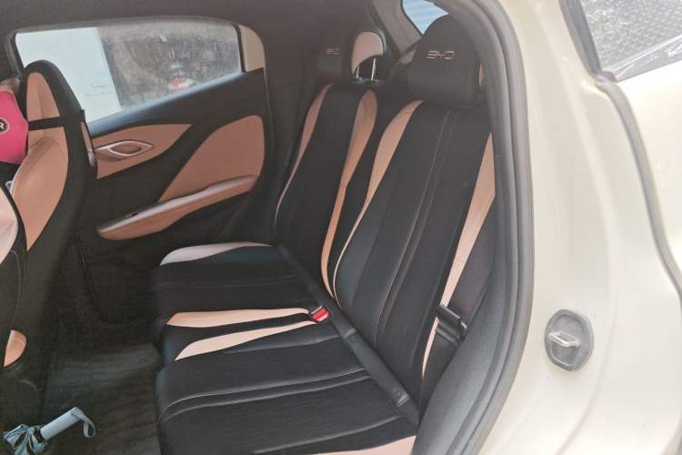 Used BYD Seagull 2024 Honor Edition 305km Freedom Version Left Rear Seat