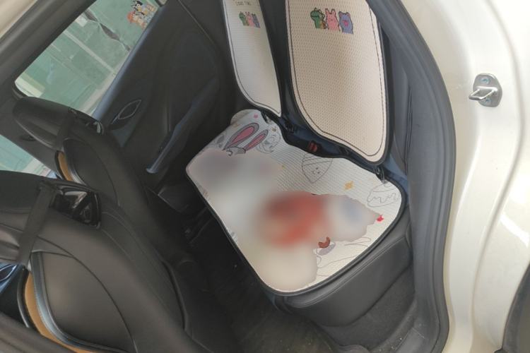 Used BYD Seagull 2024 Honor Edition 305km Dynamic Version Left Rear Seat