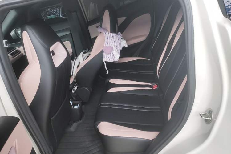 Used BYD Seagull 2024 Honor Edition 405km Flying Version Left Rear Seat