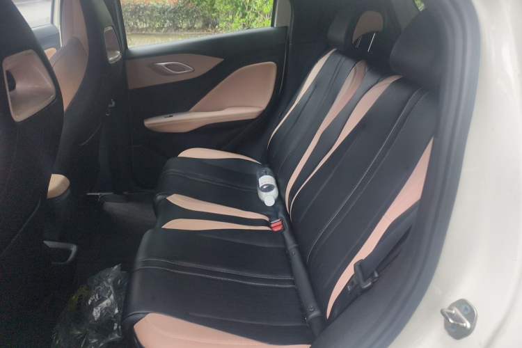 Used BYD Seagull 2024 Honor Edition 305km Dynamic Version Left Rear Seat