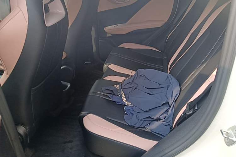 Used BYD Seagull 2024 Honor Edition 305km Dynamic Version Left Rear Seat