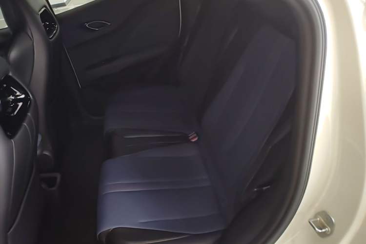 Used BYD Seagull 2024 Honor Edition 305km Dynamic Version Left Rear Seat