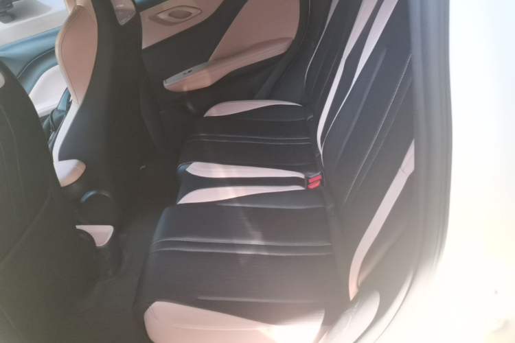Used BYD Seagull 2024 Honor Edition 305km Freedom Version Left Rear Seat
