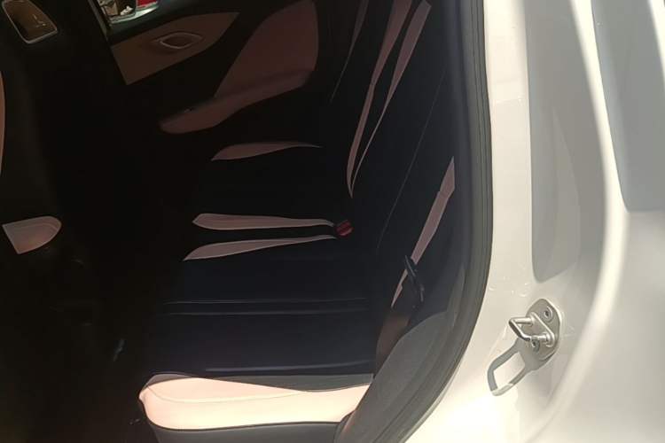 Used BYD Seagull 2024 Honor Edition 305km Freedom Version Left Rear Seat