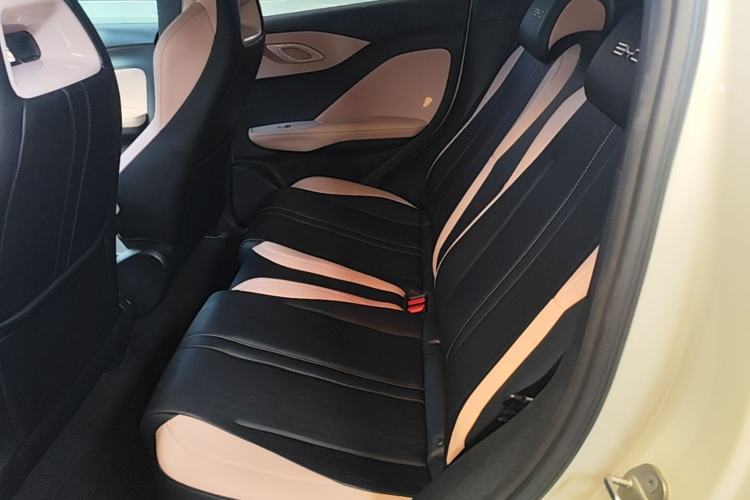 Used BYD Seagull 2024 Honor Edition 305km Freedom Version Left Rear Seat