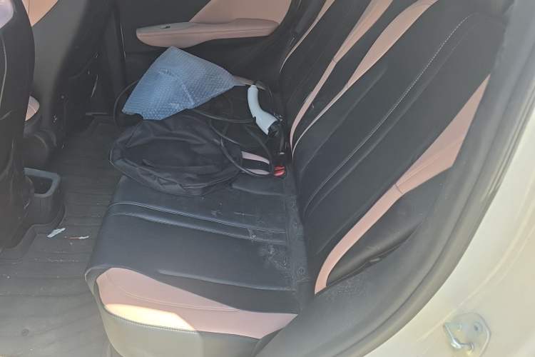 Used BYD Seagull 2024 Honor Edition 405km Flying Version Left Rear Seat