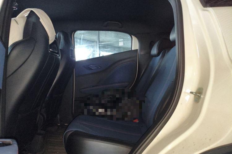 Used BYD Seagull 2024 Honor Edition 305km Freedom Version Left Rear Seat