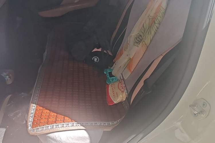 Used BYD Seagull 2024 Honor Edition 305km Freedom Version Left Rear Seat