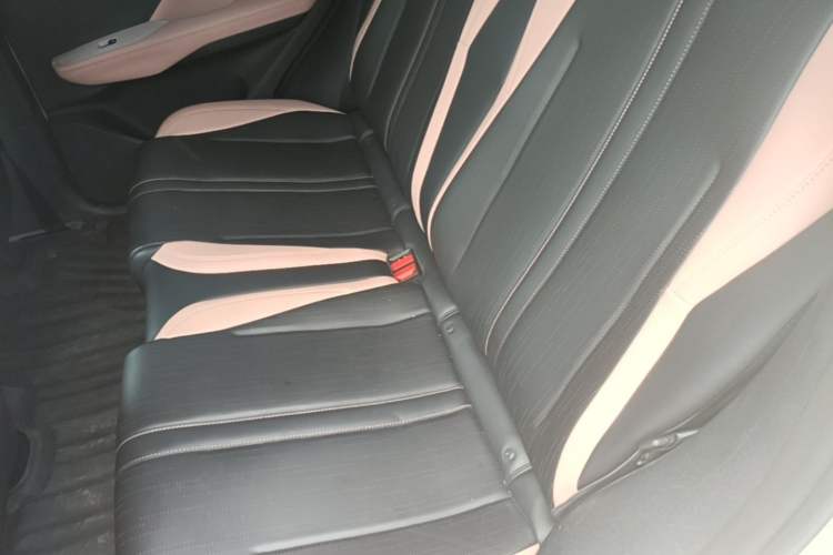 Used BYD Seagull 2024 Honor Edition 305km Freedom Version Left Rear Seat